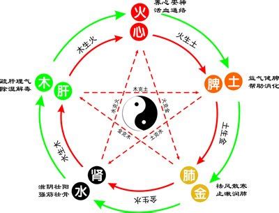 桐五行|桐字五行属什么